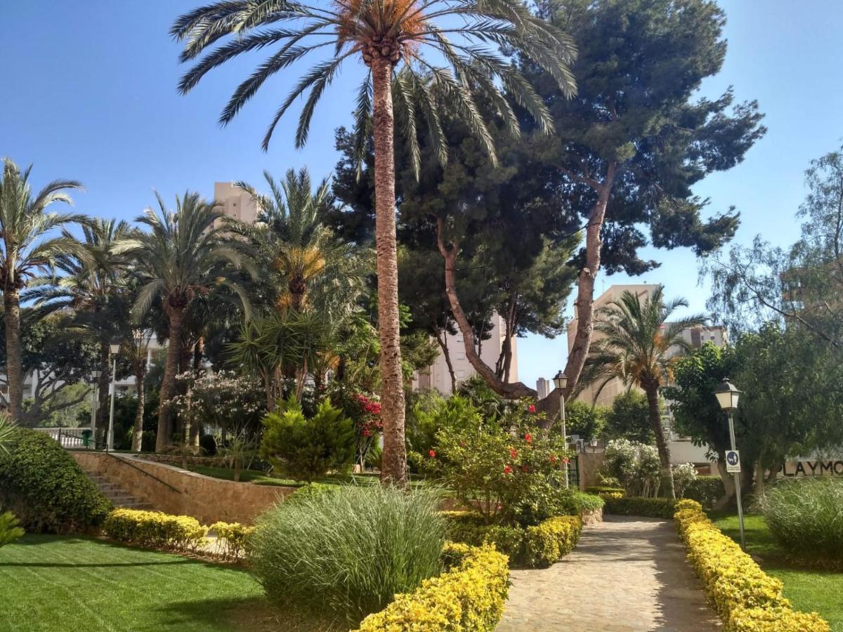 בנידורם Wifi Loix Apartment מראה חיצוני תמונה